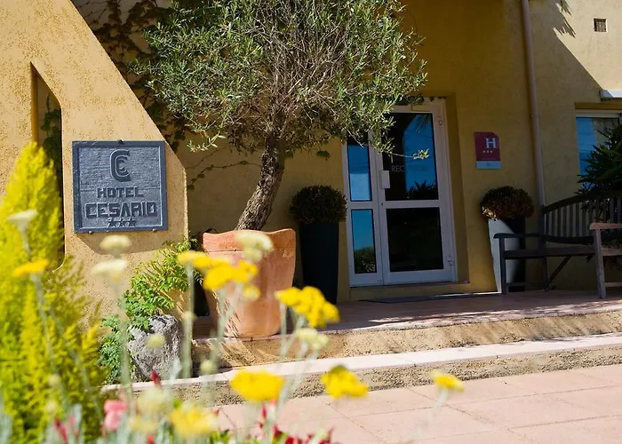 Cesario