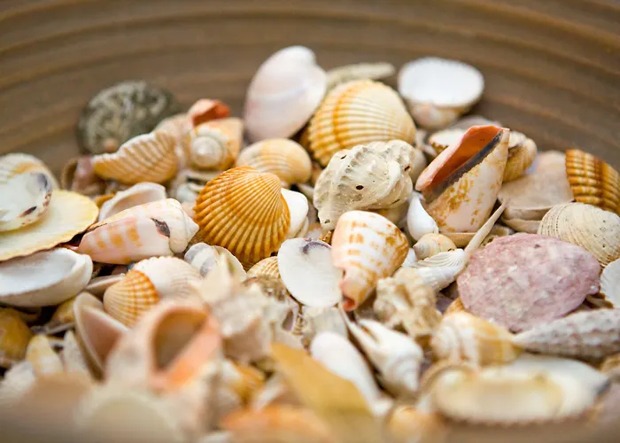 Cesario Calvi (Corsica)